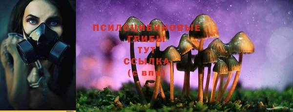 мяу мяу мука Арсеньев