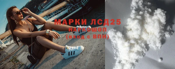 индика Алексин