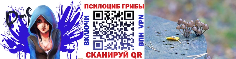 omg зеркало  Шуя  Галлюциногенные грибы ЛСД  где купить  