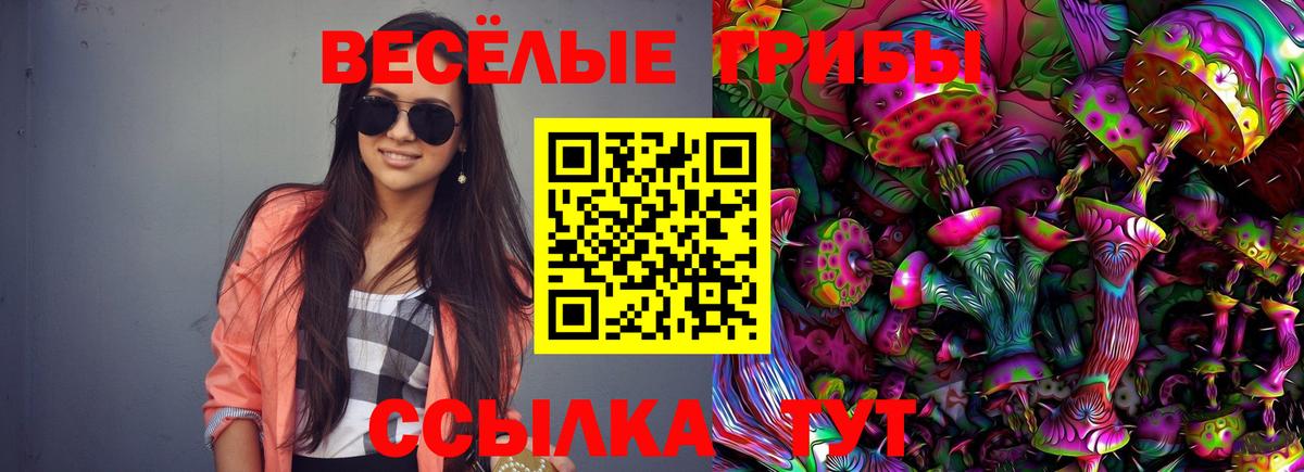 Шуя  Гашиш  МАРИХУАНА  МЕФ   Марихуана  Cocaine  Вход с VPN  Гашиш 