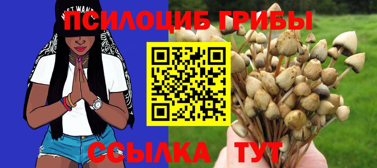 А ПВП Шуя