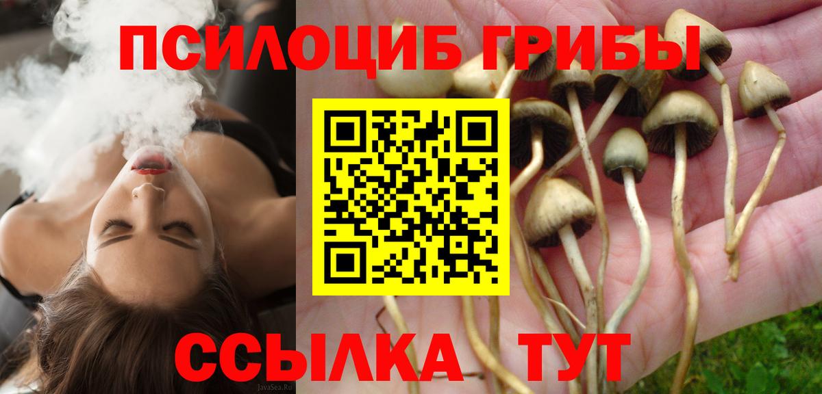как найти закладки  Псилоцибиновые грибы GOLDEN TEACHER  Вход с VPN  Галлюциногенные грибы ЛСД  Шуя 