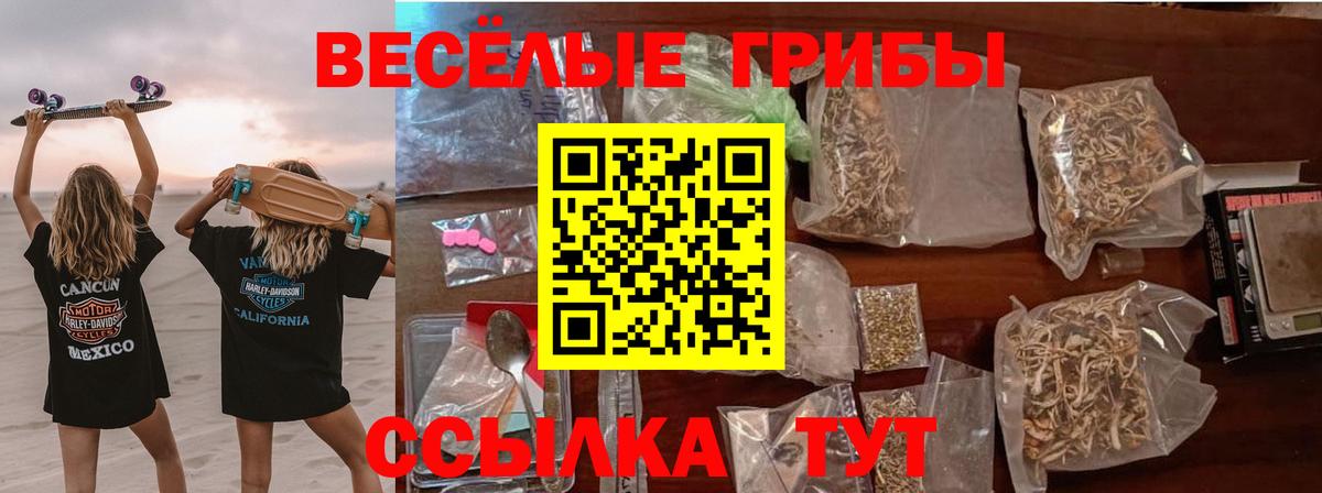 Галлюциногенные грибы ЛСД Шуя